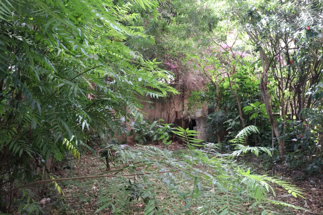 property_gallery_img_6685