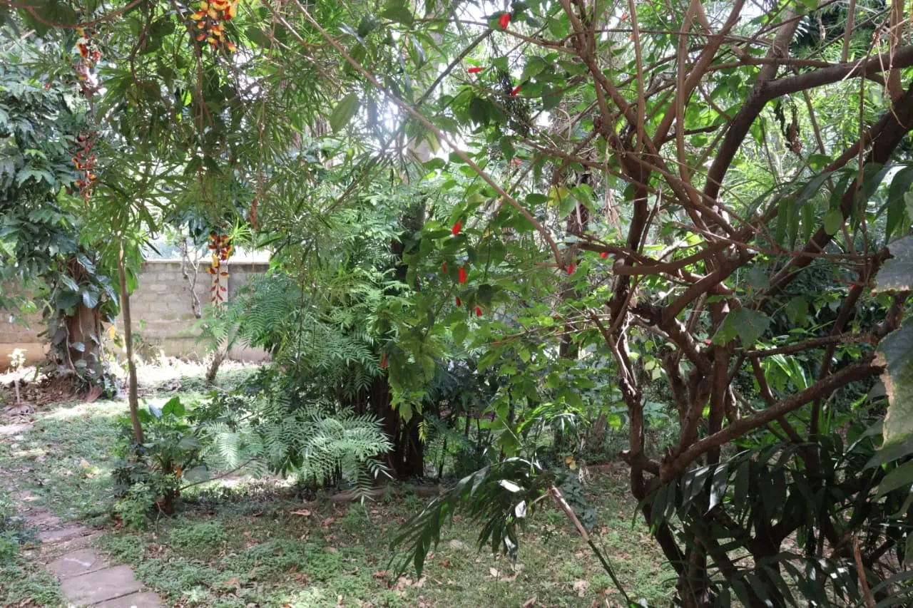 property_gallery_img_6687